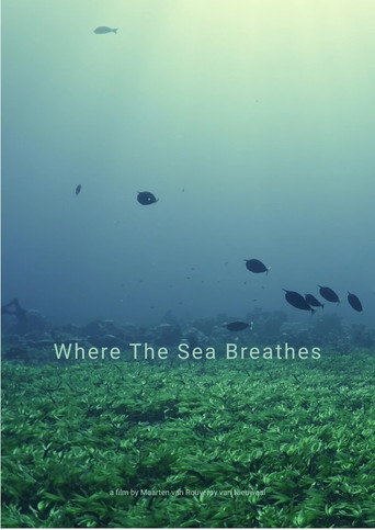 Where The Sea Breathes