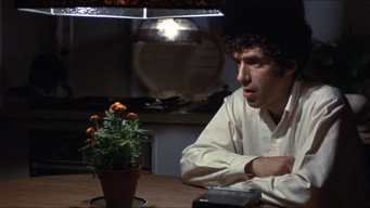 #16 Little Murders