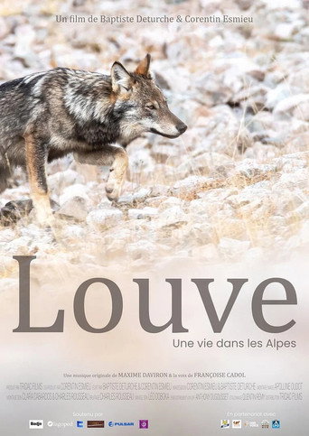 Poster film Louve, une vie dans les Alpes