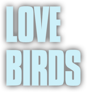 Love Birds logo