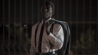The Fence (2025)