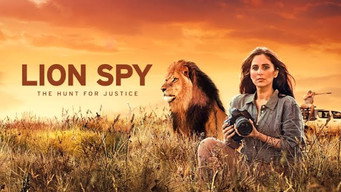 #6 Lion Spy