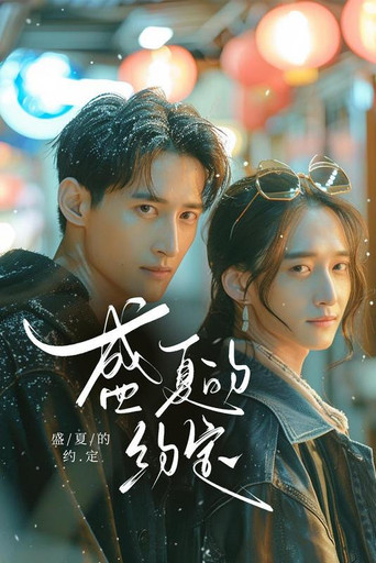 盛夏的约定 poster