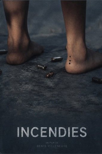 صورة من حرائق