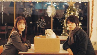 Episode 4 — Abandoned Cat and Sibling Quarrel