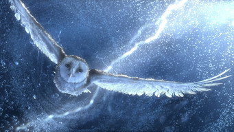 Legend of the Guardians: The Owls of Ga'Hoole backdrop 5