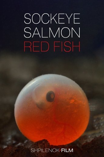 Sockeye Salmon. Red Fish (2020)