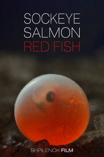 Sockeye Salmon. Red Fish (2020)