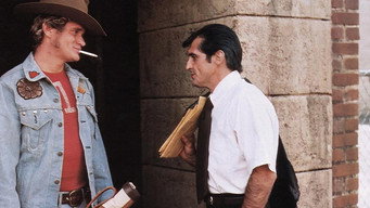 The Nickel Ride (1974)