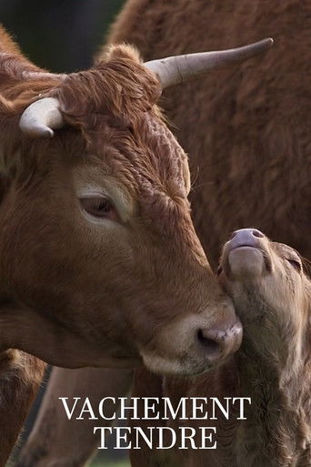 Vachement tendre poster