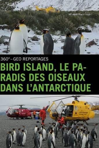 Bird Island, le paradis des oiseaux dans l'Antarctique