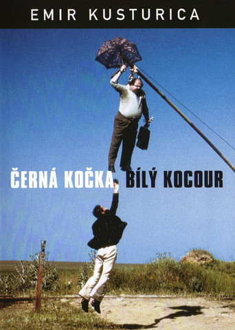 Čierna mačka, biely kocúr