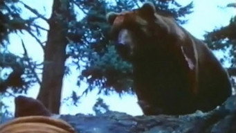 Claws (1977)