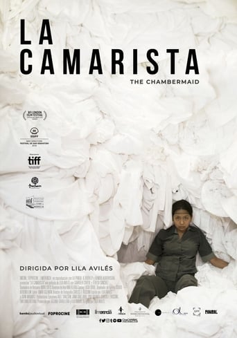 Poster of La Camarista