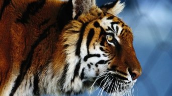 World Wild Web - S1E01