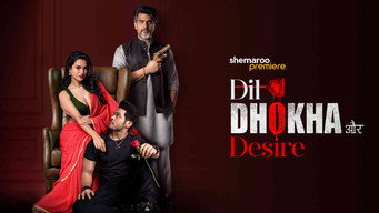 Dil Dhokha Aur Desire (2026- )