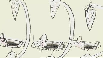 Nibbles (2003)