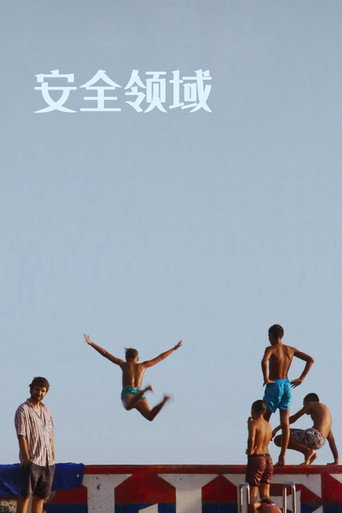 安全领域