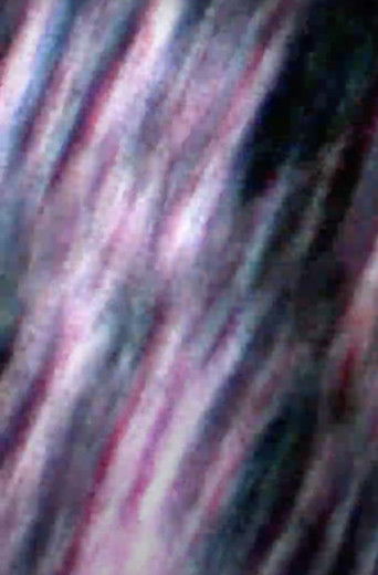 all life, everywhere poster