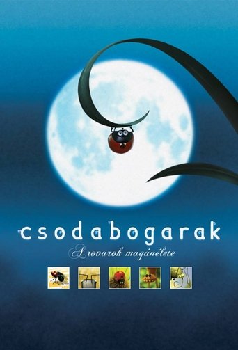 Csodabogarak