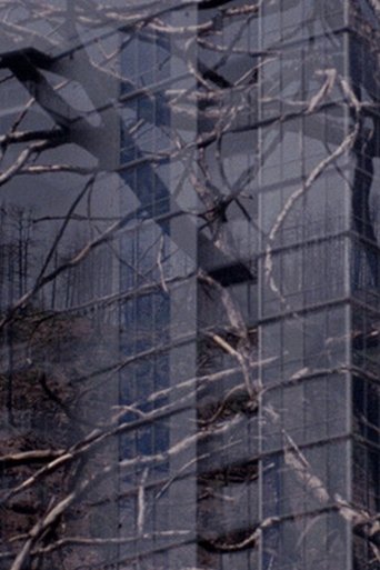 The City is a Heat Island & our Forests are on Fire poster