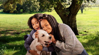 こいぬのおうち (2021) 予告編