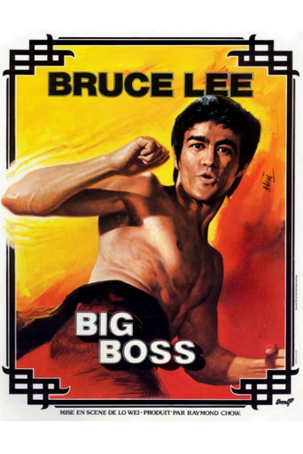 Big Boss — Film en streaming