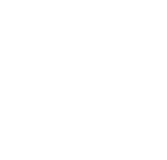 Blaze logo