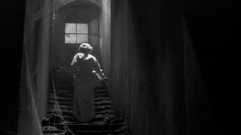 #9 The Maze