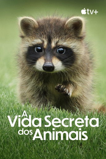 Cena de A Vida Secreta dos Animais