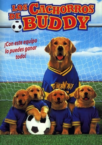 Air Bud 3: Los cachorros de Buddy