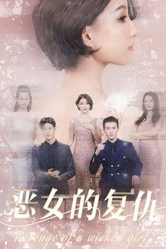 恶女的复仇 poster