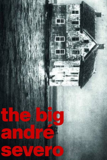 The Big André Severo poster