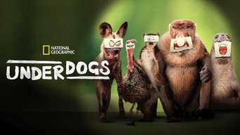 #6 Underdogs