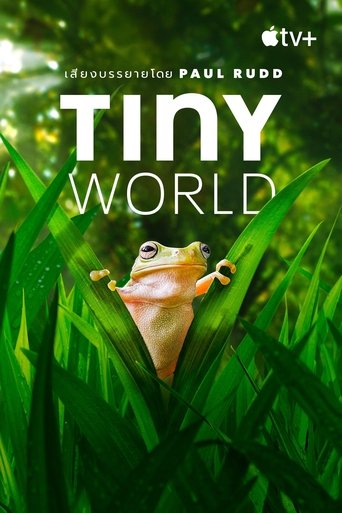 Tiny World