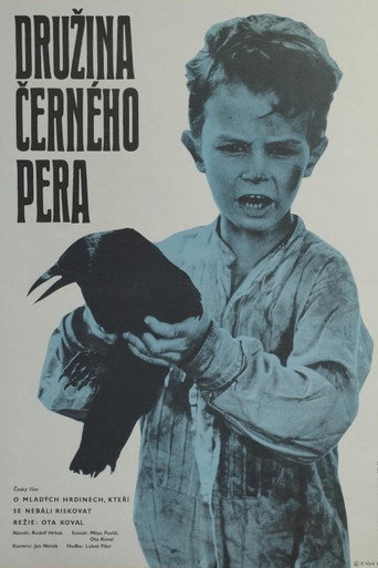 Družina černého pera Družina černého pera poster