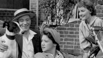 The Gay Dog (1954)