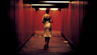 Irréversible Inversion Intégrale