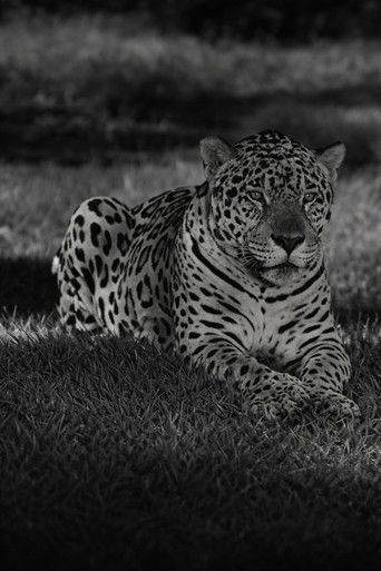 Jardim Zoológico do Rio de Janeiro