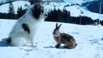Weihnachten mit Willy Wuff 3 (1997)