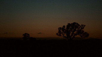 #12 Lake Mungo