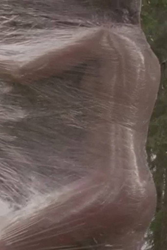 Die Wilderin vom Montafon (2011)
