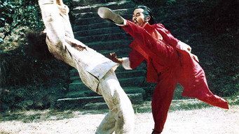 Invincible Obsessed Fighter (1982)