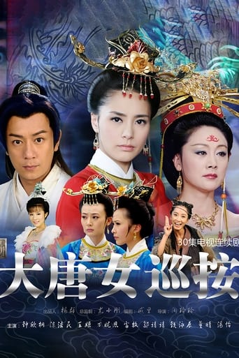 Poster of 大唐女巡按