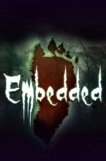 Foto 3 de Embedded