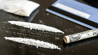 Cocaine: History Between the Lines (2011)