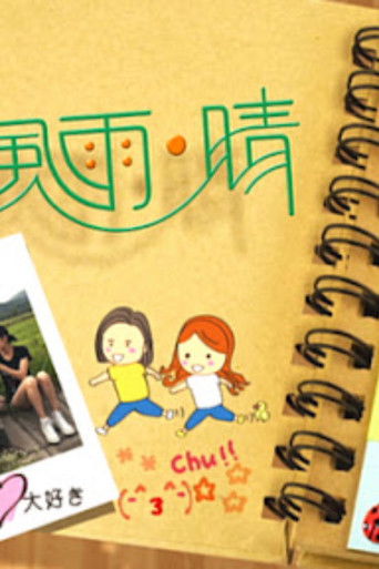 关西风雨晴 poster