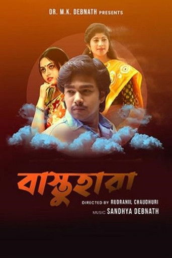 Bastuhara poster