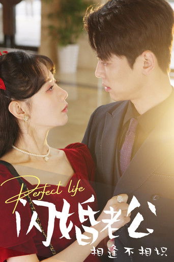 闪婚老公相逢不相识 poster