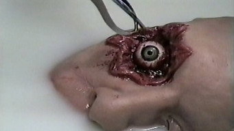 Escena 1 de Rost